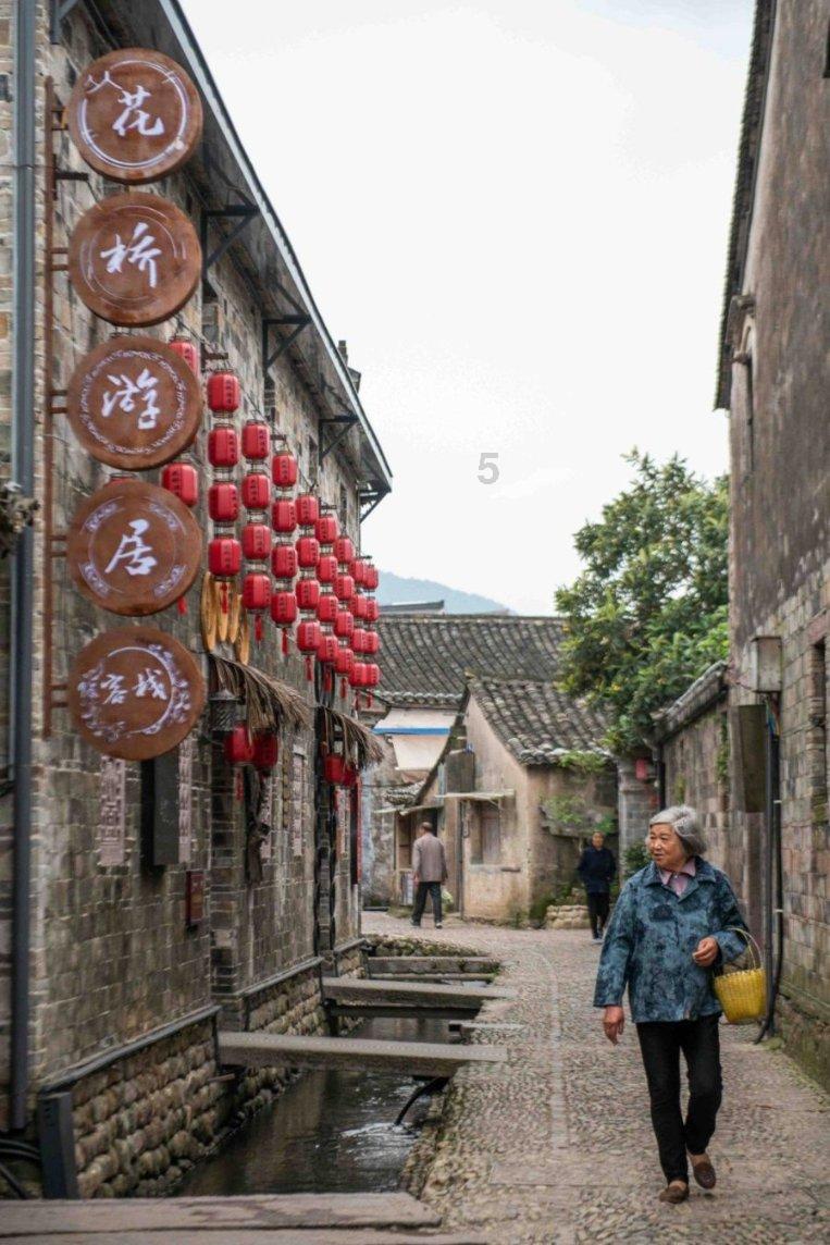 动物帮帮忙保卫家园
